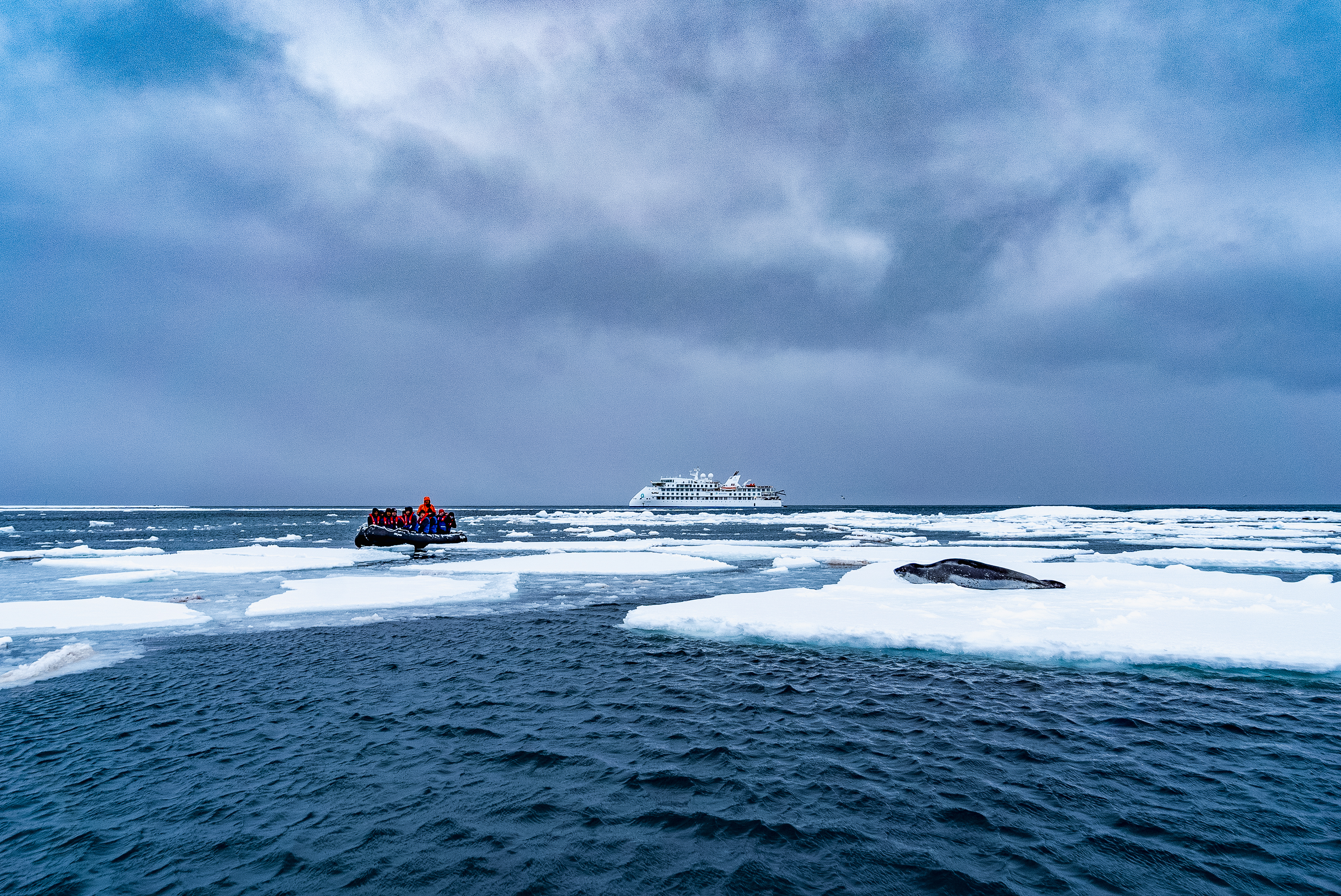 Aurora Expeditions - Greg Mortimer 5.jpg
